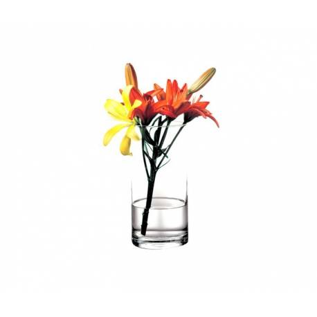 Vaza Flora 260 mm - Cod 43846